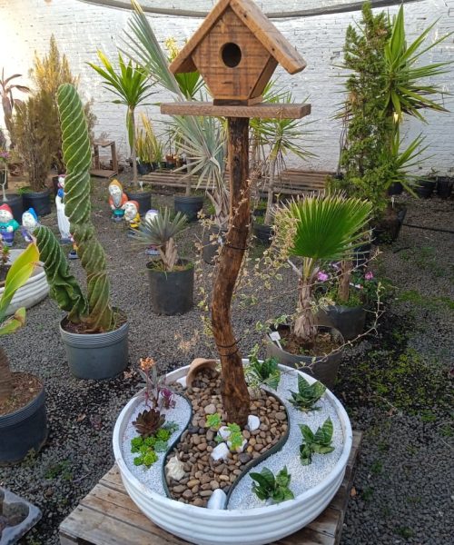 WhatsApp Image 2025-09-04 at 16.06.03